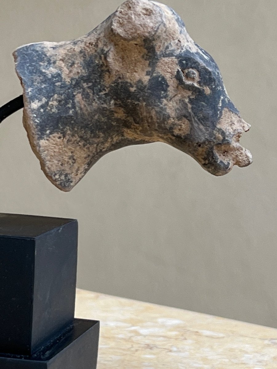 Rare Terracotta Bull Head, Majapahit Kingdom, 13th / 16th Century Indonesia.-photo-4