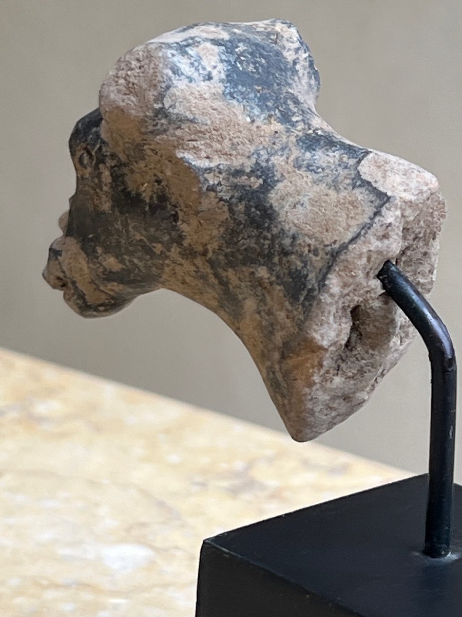 Rare Terracotta Bull Head, Majapahit Kingdom, 13th / 16th Century Indonesia.-photo-5
