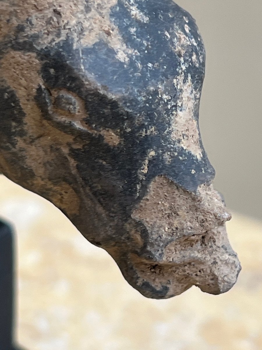 Rare Terracotta Bull Head, Majapahit Kingdom, 13th / 16th Century Indonesia.-photo-8