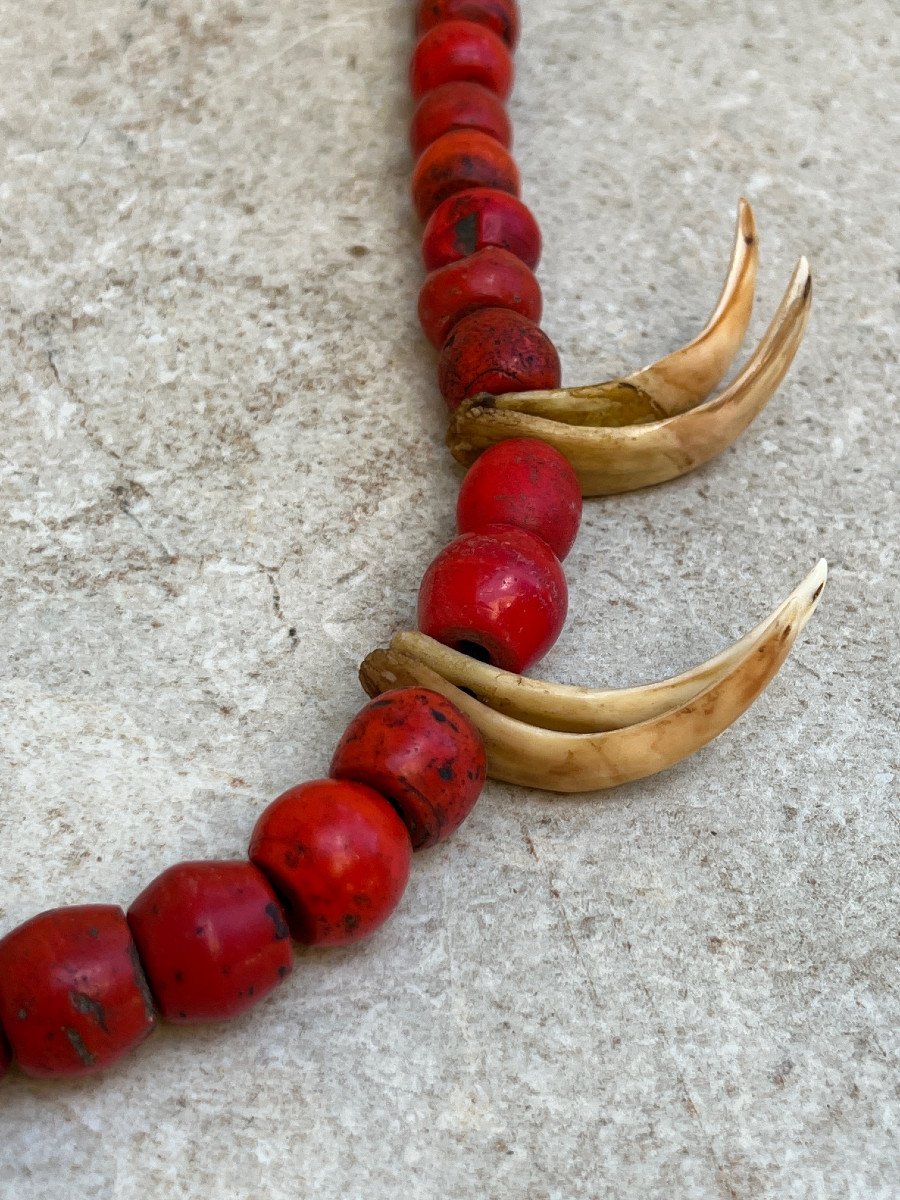 Hunter's Collar, Red Glass Pate And Konyak Ethnic Claw, Nagaland-photo-3