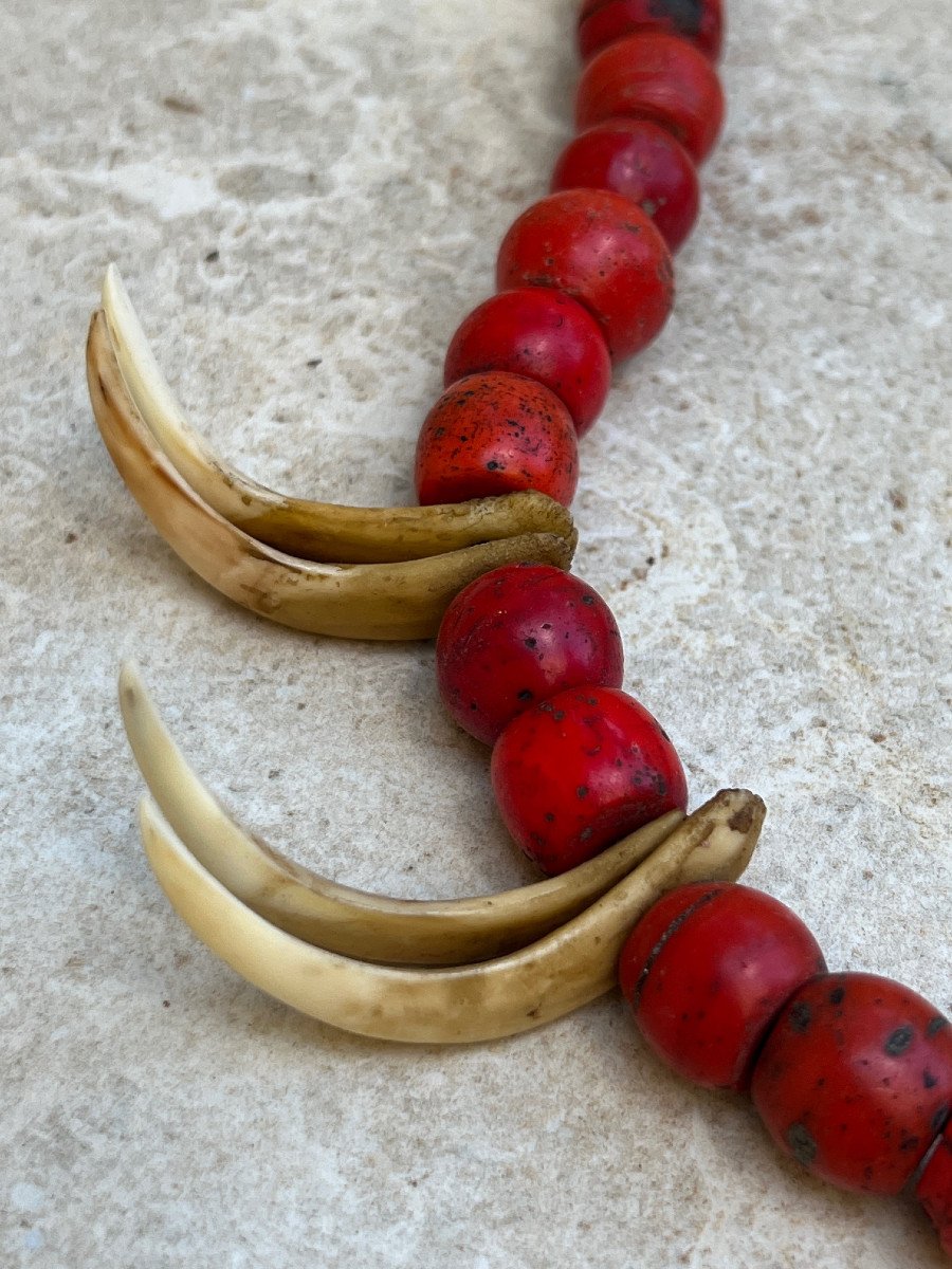 Collier De Chasseur , Pate De Verre Rouge et griffe Ethnie  Konyak , Nagaland-photo-1