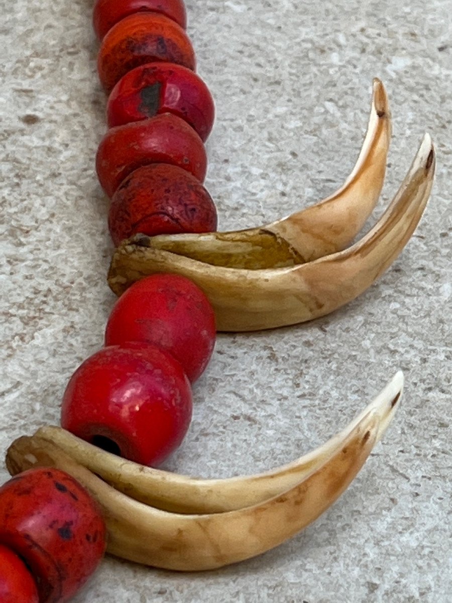 Collier De Chasseur , Pate De Verre Rouge et griffe Ethnie  Konyak , Nagaland-photo-5