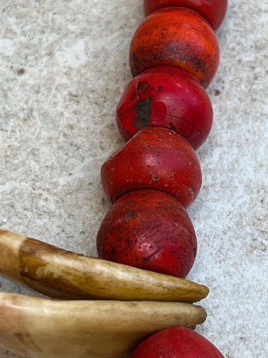 Collier De Chasseur , Pate De Verre Rouge et griffe Ethnie  Konyak , Nagaland-photo-8