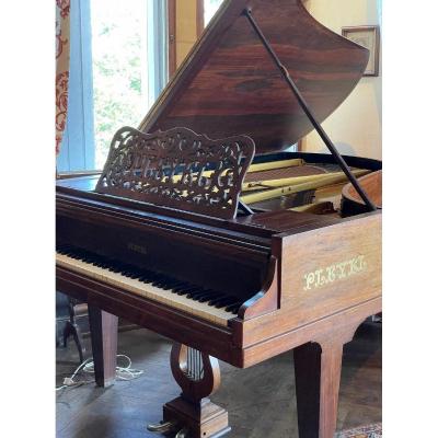 Elegant Pleyel Grand Piano