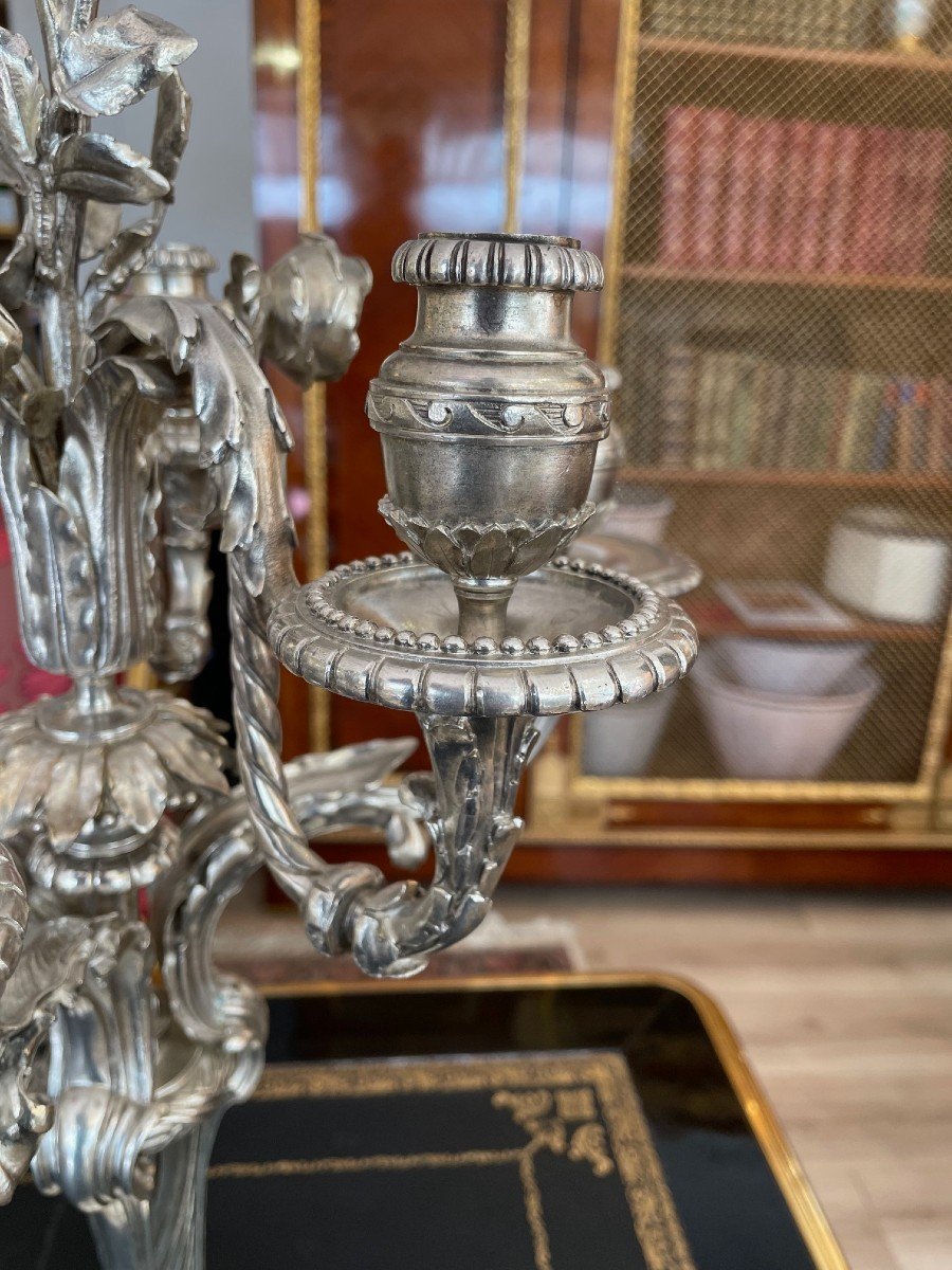 Pair Of Large 19th Century Candelabras-photo-3