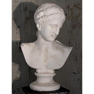 Large Bust "venus Of Arles"