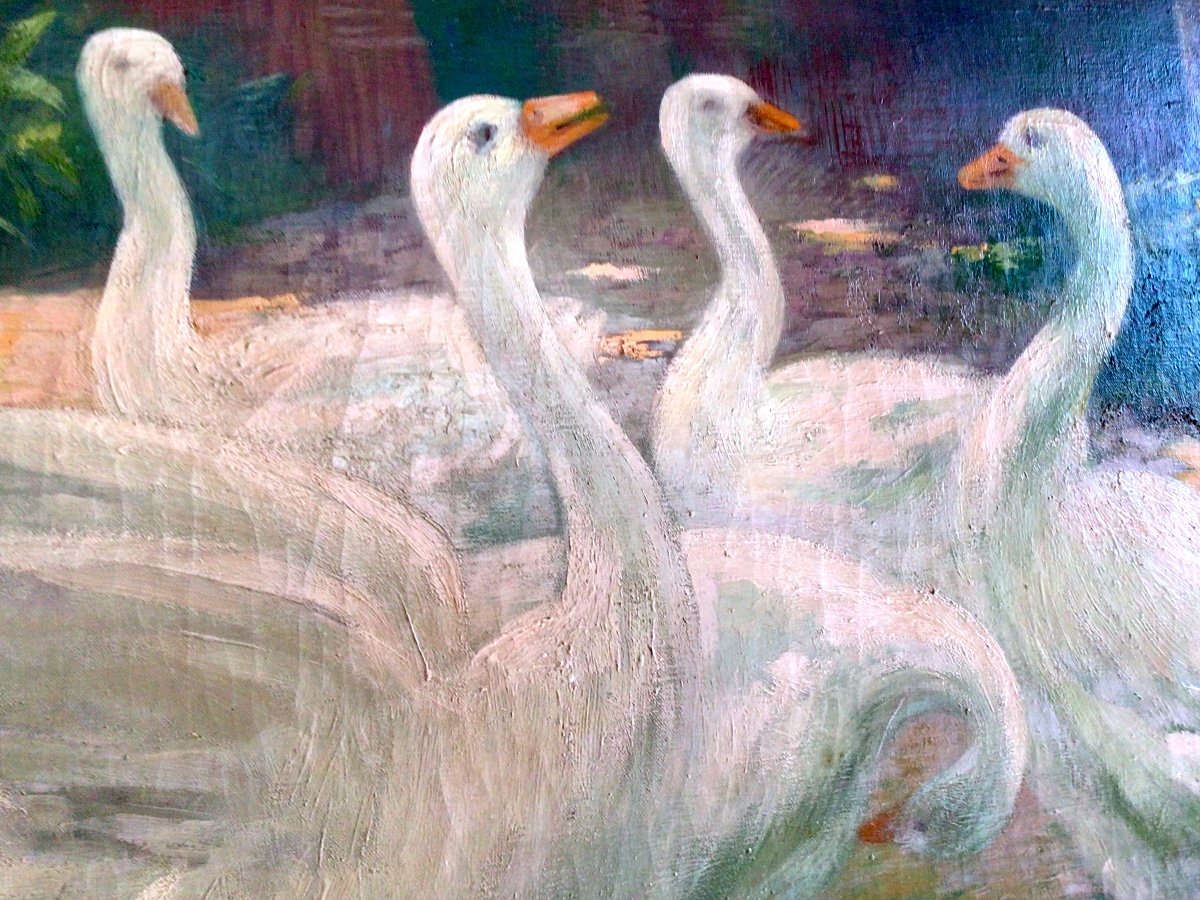 Les oies blanches par Francisco Pausas (1877-1944)-photo-2