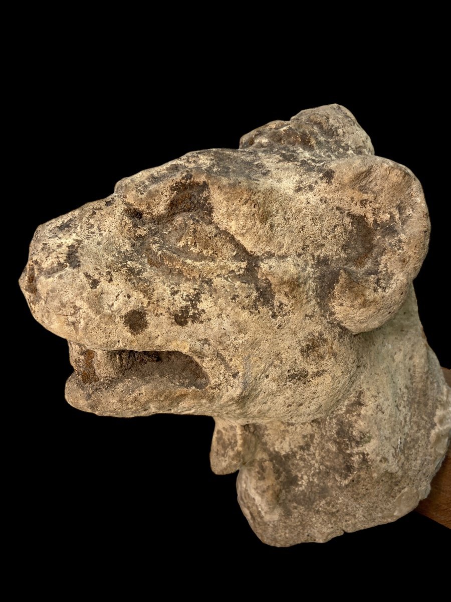 Gothic Architectural Fragment Of A Dog's Head (france?)-photo-3