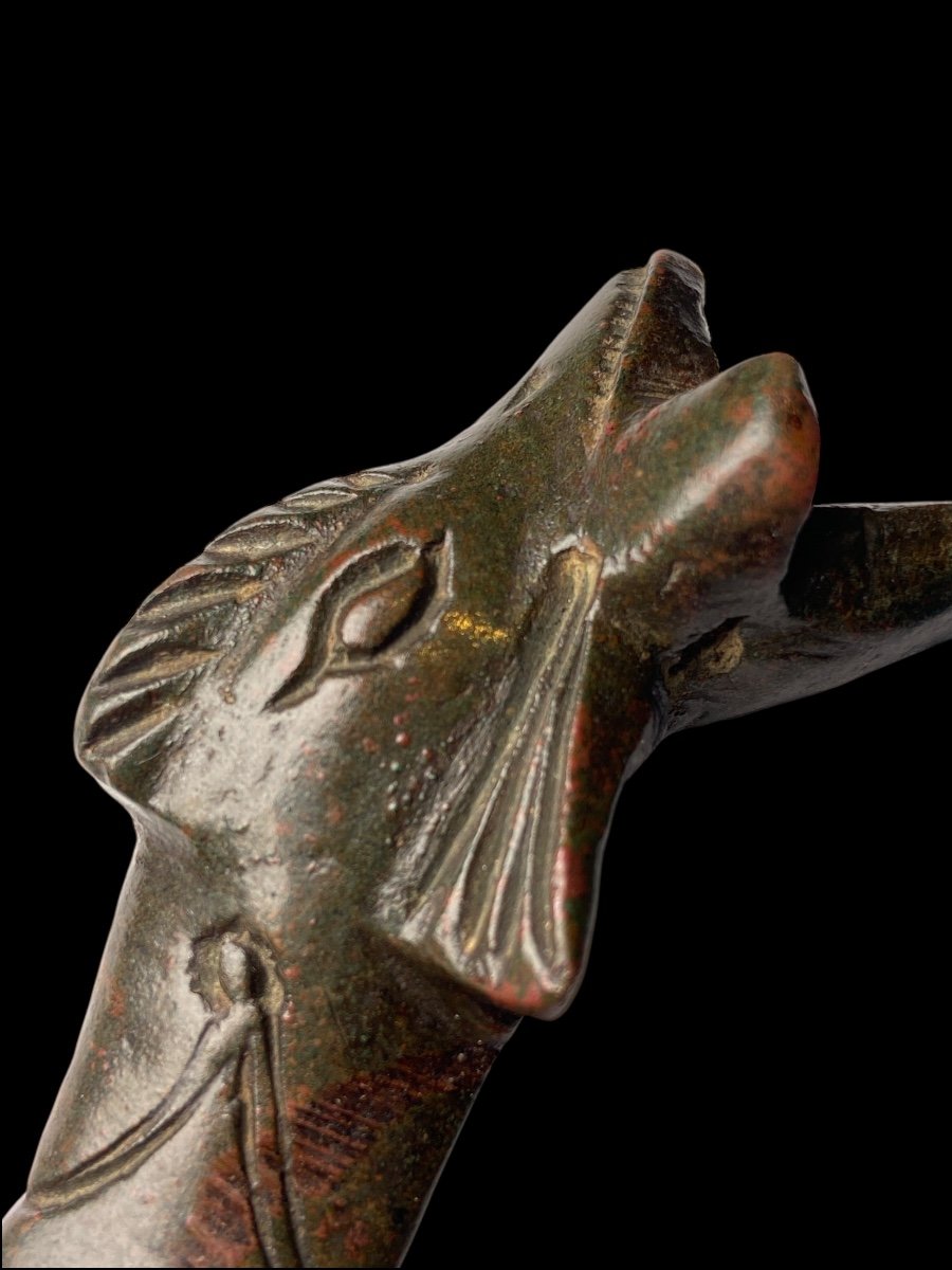 Bronze Door Knocker In The Shape Of A Dolphin - Antique Roman Period-photo-2