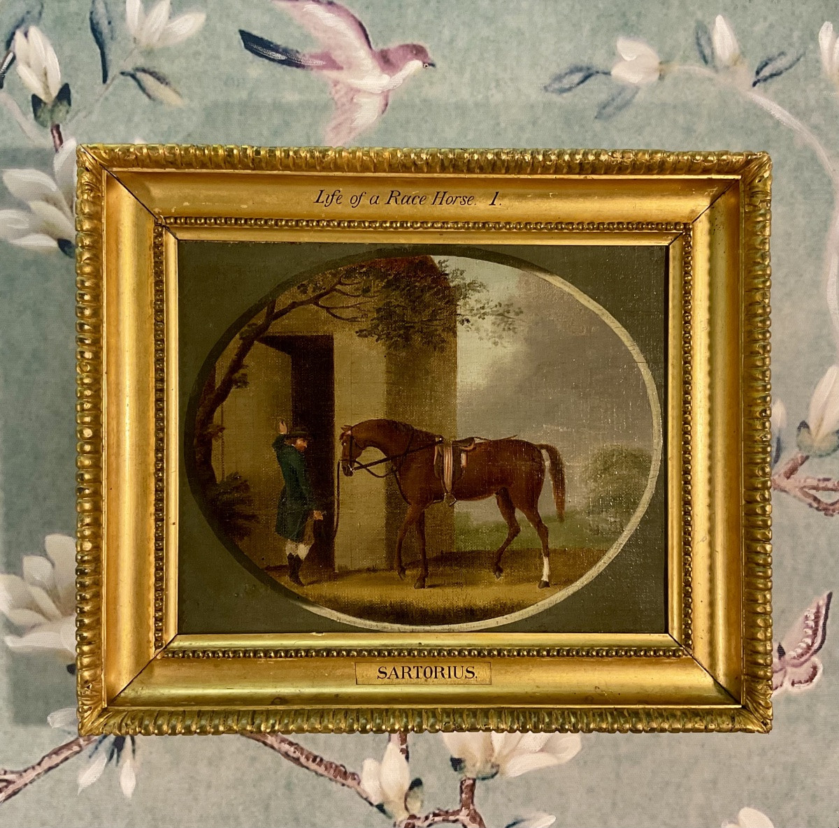 Rare Série De Peintures Anglaises De Sartorius.-photo-2