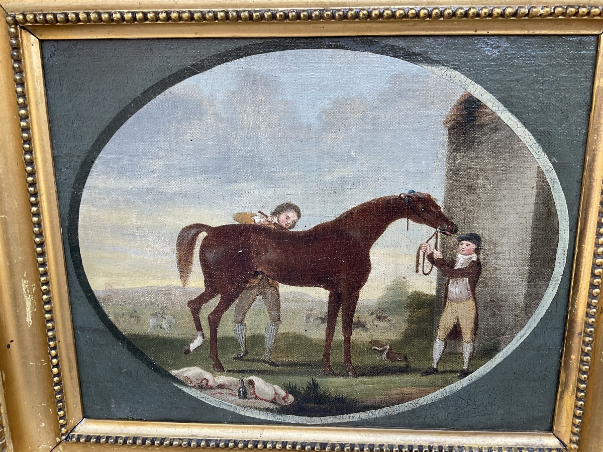 Rare Series Of English Paintings By Sartorius.-photo-3