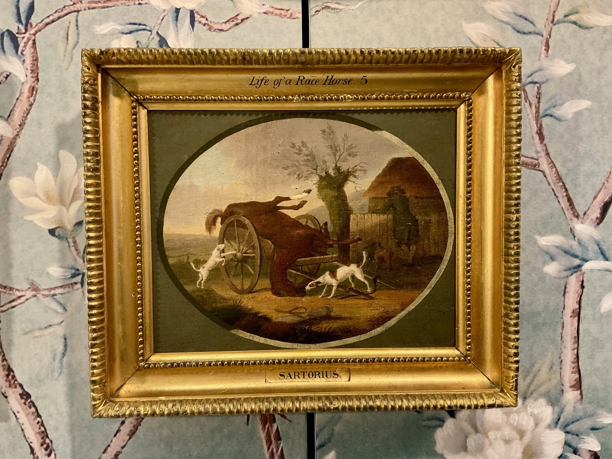 Rare Série De Peintures Anglaises De Sartorius.-photo-2