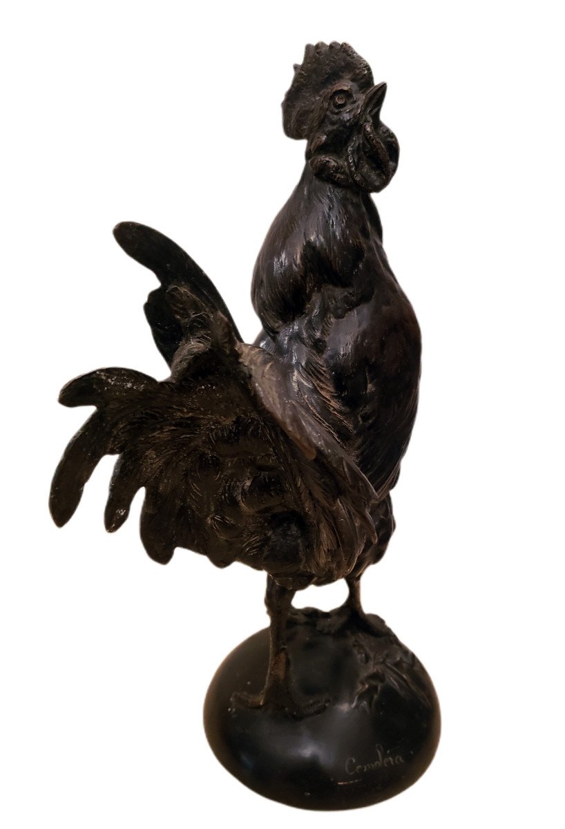 Coq  victorieux En Bronze Signé Paul Comolera Patine Noire -photo-4