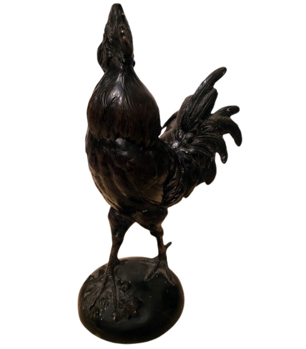Coq  victorieux En Bronze Signé Paul Comolera Patine Noire -photo-5