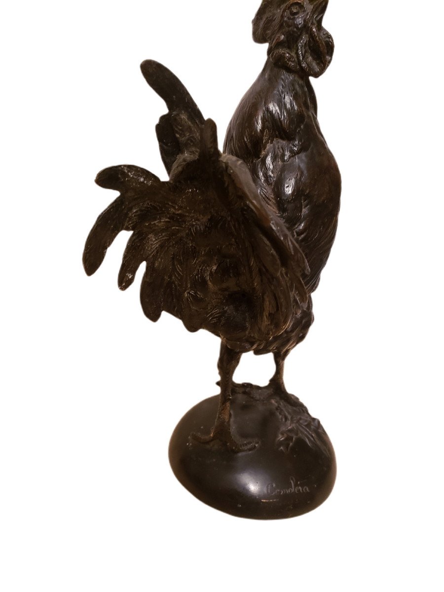 Coq  victorieux En Bronze Signé Paul Comolera Patine Noire -photo-7