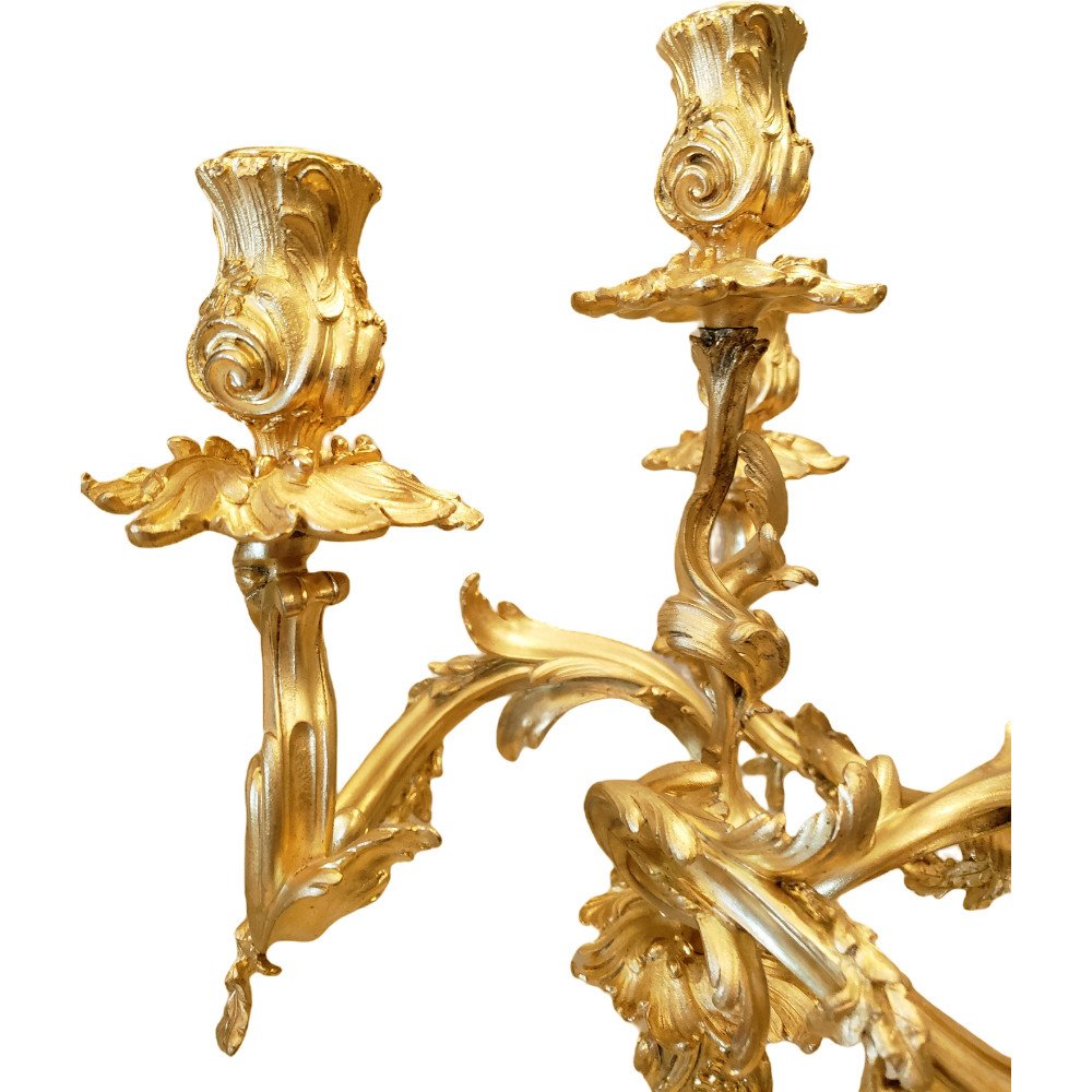 Pair Of Louis XV Style Candelabras In Gilt Bronze Nineteenth After Just Aurèle Meissonnier-photo-4