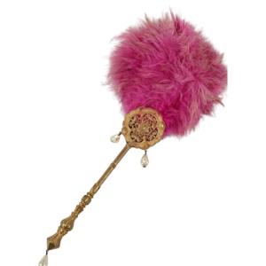 Wedding Feather Duster Erotic Caresses From The Napoleon III Period 