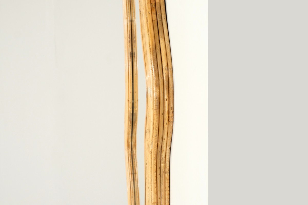 Bamboo In Large Format Mirror, Contemporary Italy.-photo-1