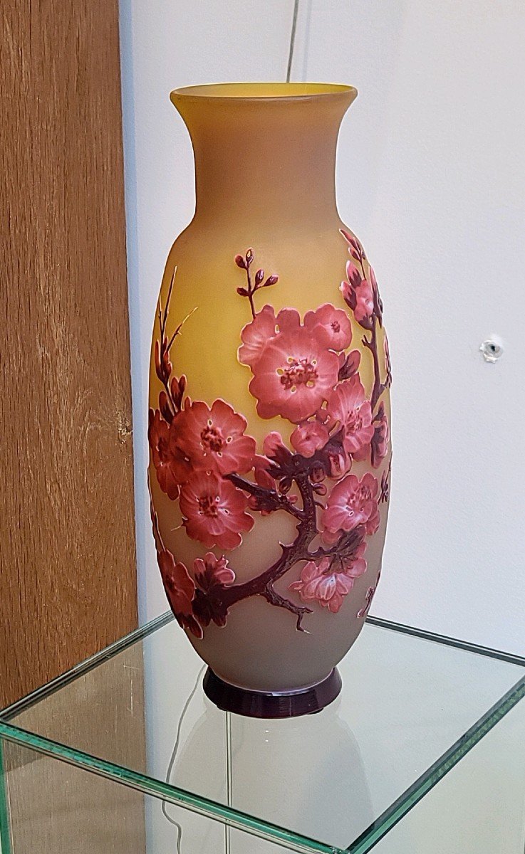 émile Gallé (1846-1904) « Fleurs De Pommier » Rare Vase En Verre Soufflé-moulé Circa 1905-photo-4