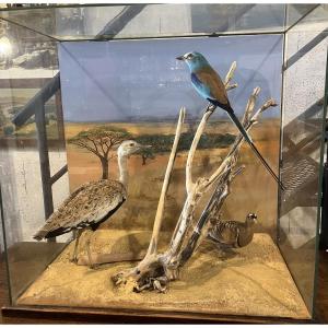 Grand Diorama Aux Oiseaux 