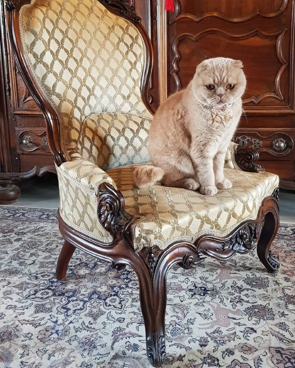 Boudoir Armchair. 19th Century. Mahogany