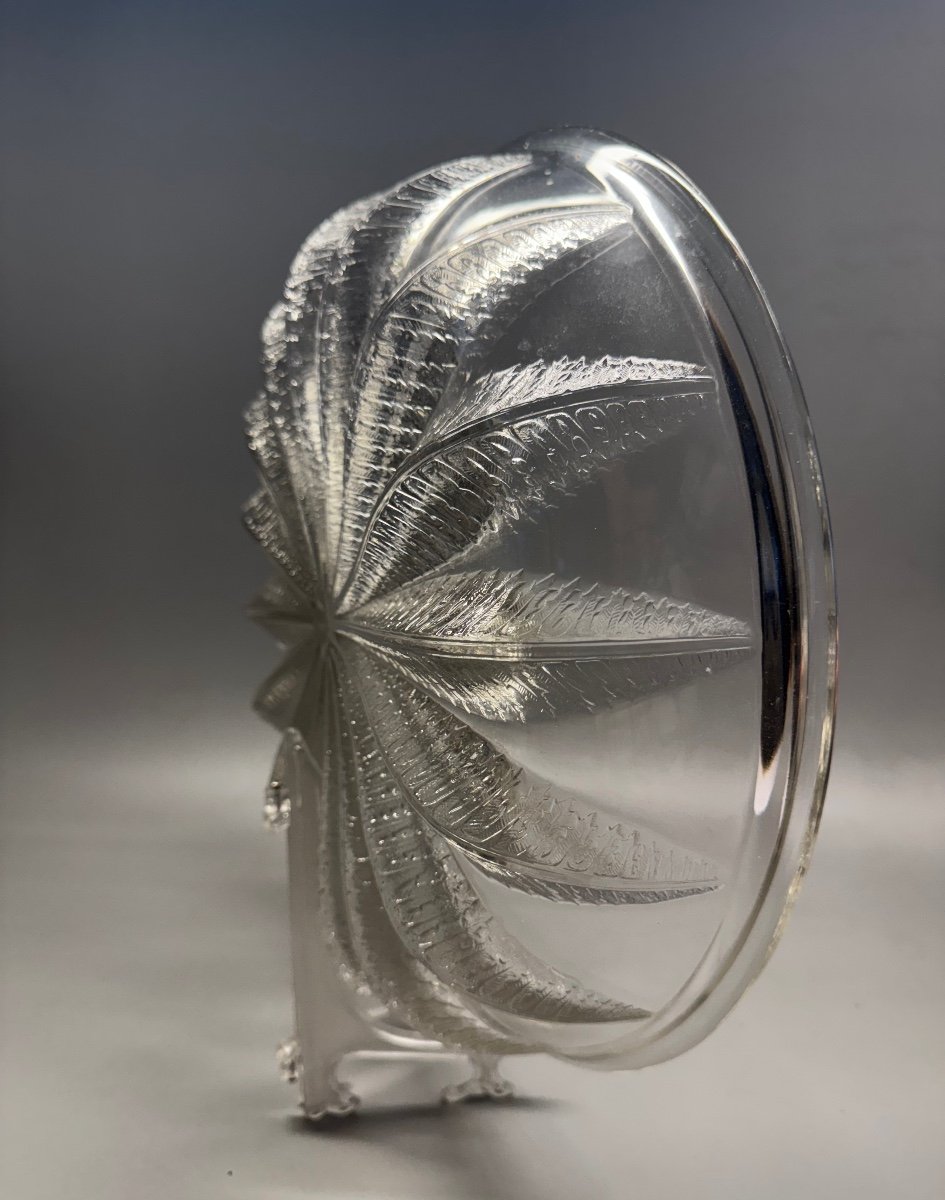 LALIQUE Grande coupe Châtaignier Modèle créé en 1933 par René Lalique Art Deco Réf Marcilhac-photo-4