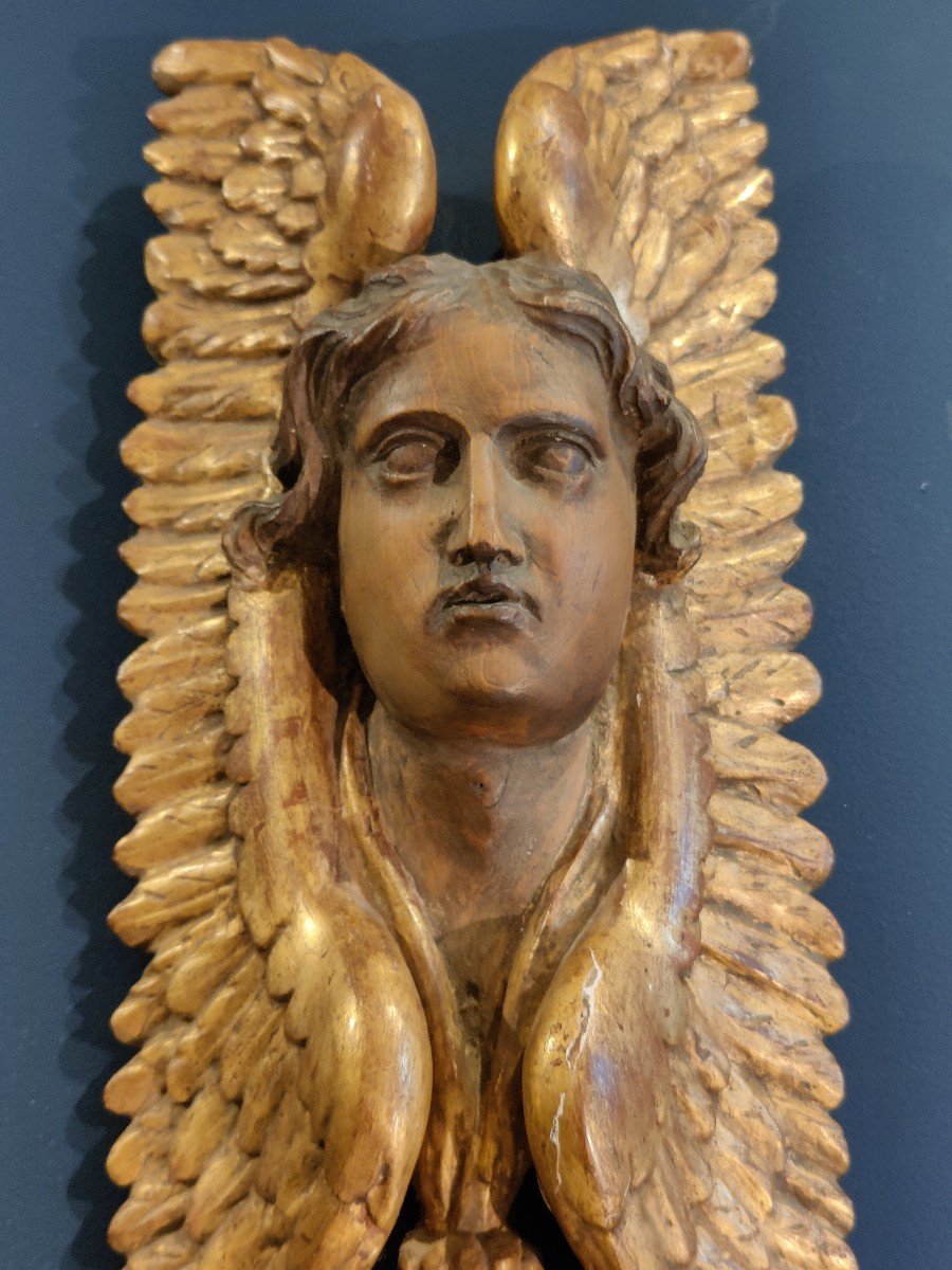 Carved Wood - Winged Angel Head France 18th Century -photo-2