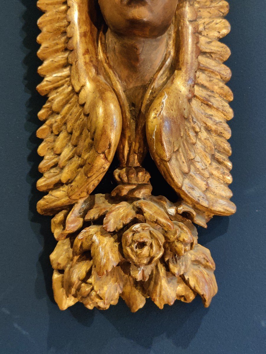 Carved Wood - Winged Angel Head France 18th Century -photo-3