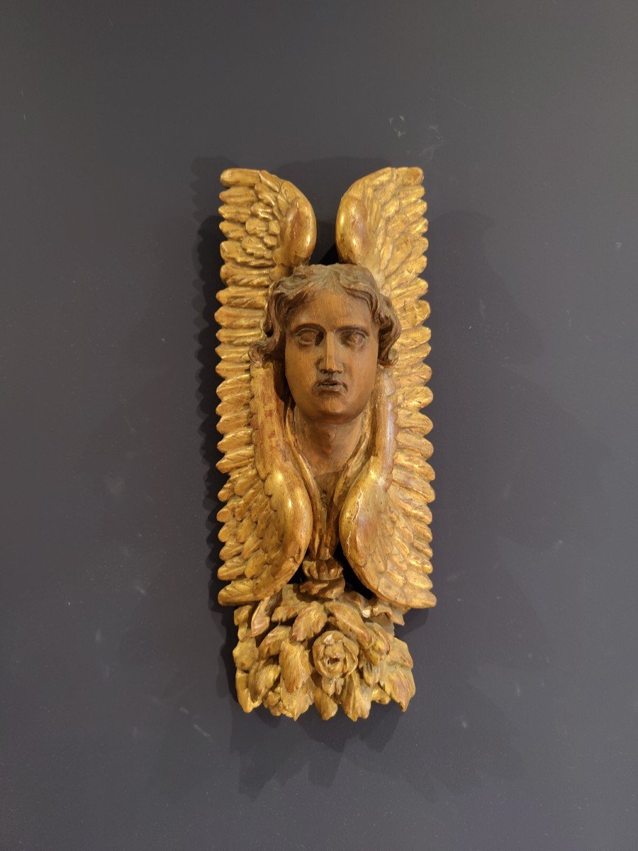 Carved Wood - Winged Angel Head France 18th Century 