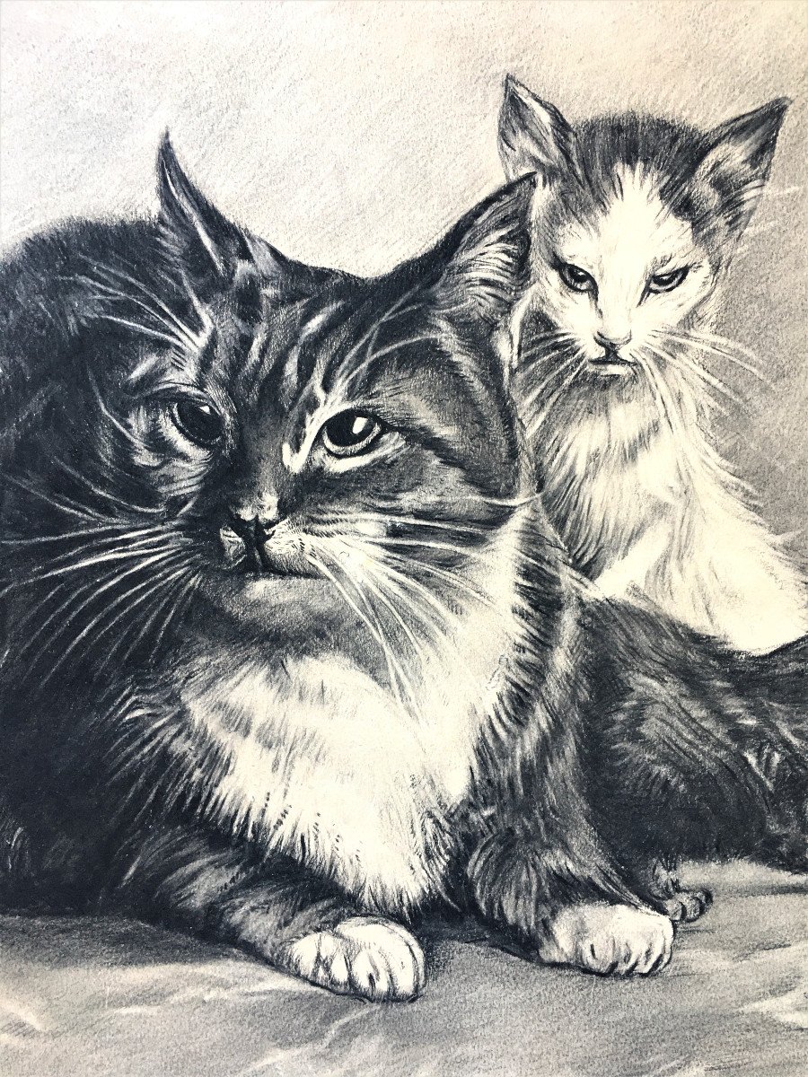 Alfred Dubois( XIX-XX). "Chats". 1900. Dessin.-photo-2