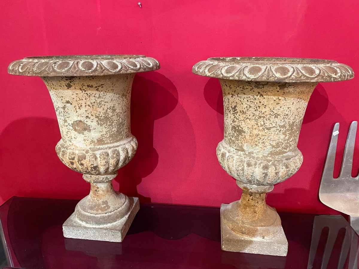 Pair Of 19th Century Cast Iron Medici Vases 