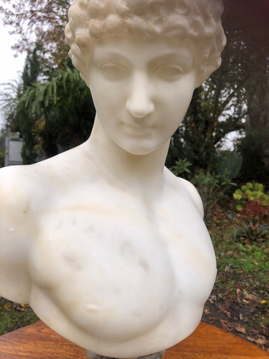 Marble Bust Of Adonis -photo-2