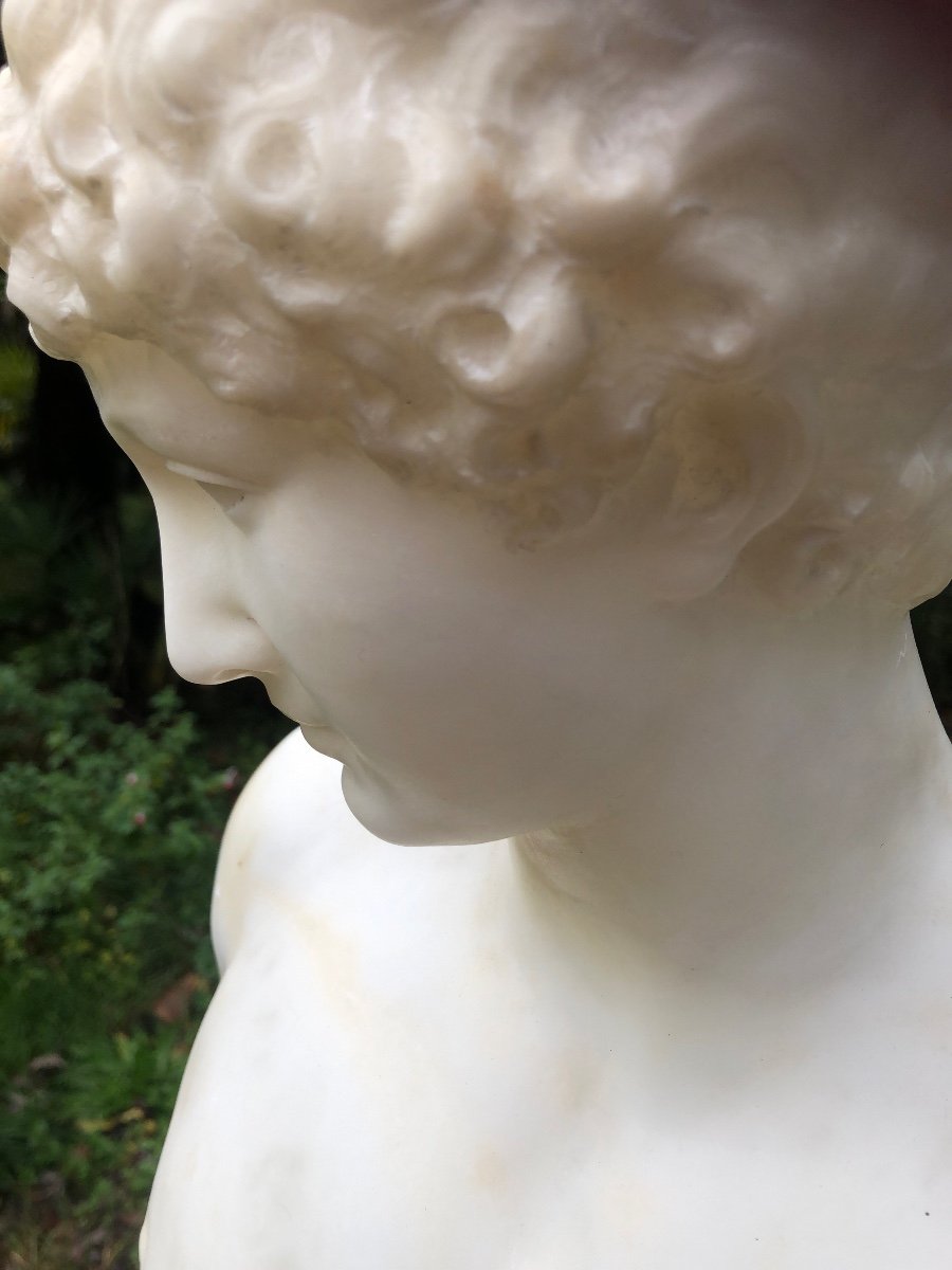 Marble Bust Of Adonis -photo-3