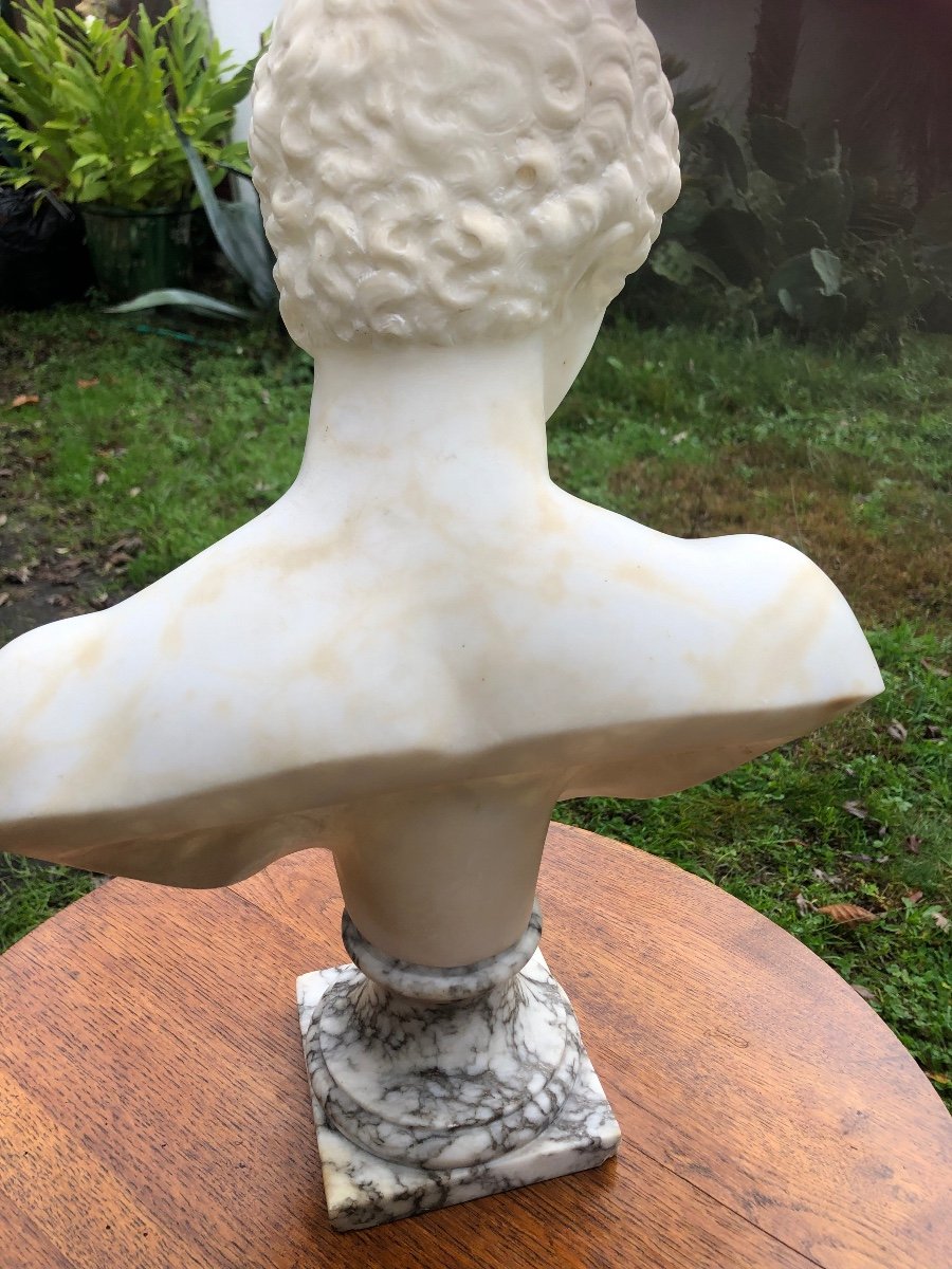 Marble Bust Of Adonis -photo-4