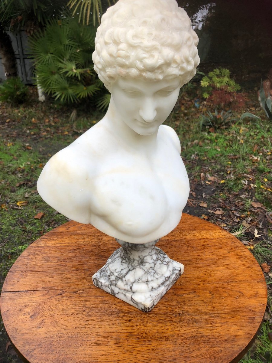 Marble Bust Of Adonis 