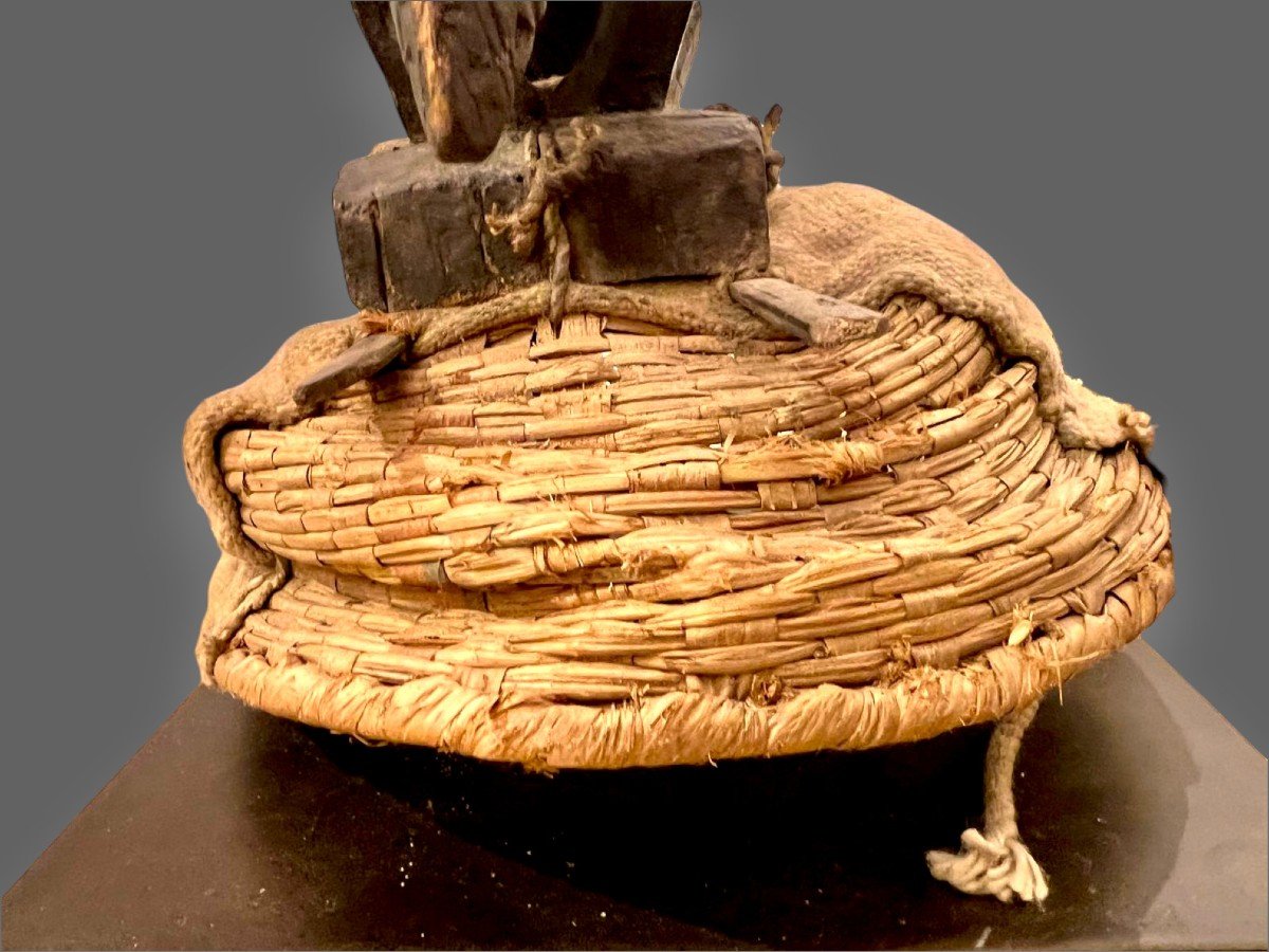 Coiffe Ciwara Bambara En Bois Sculpté Et Vannerie, Mali, Début 20ème Siècle-photo-3