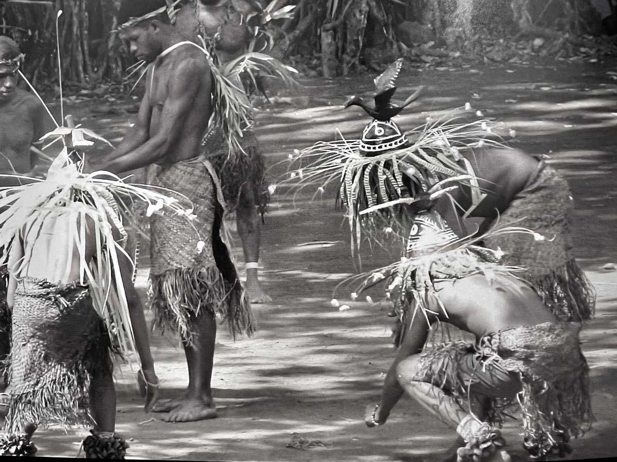 Rare Headdress From The Banks Islands, Gaua, Vanuatu-photo-1