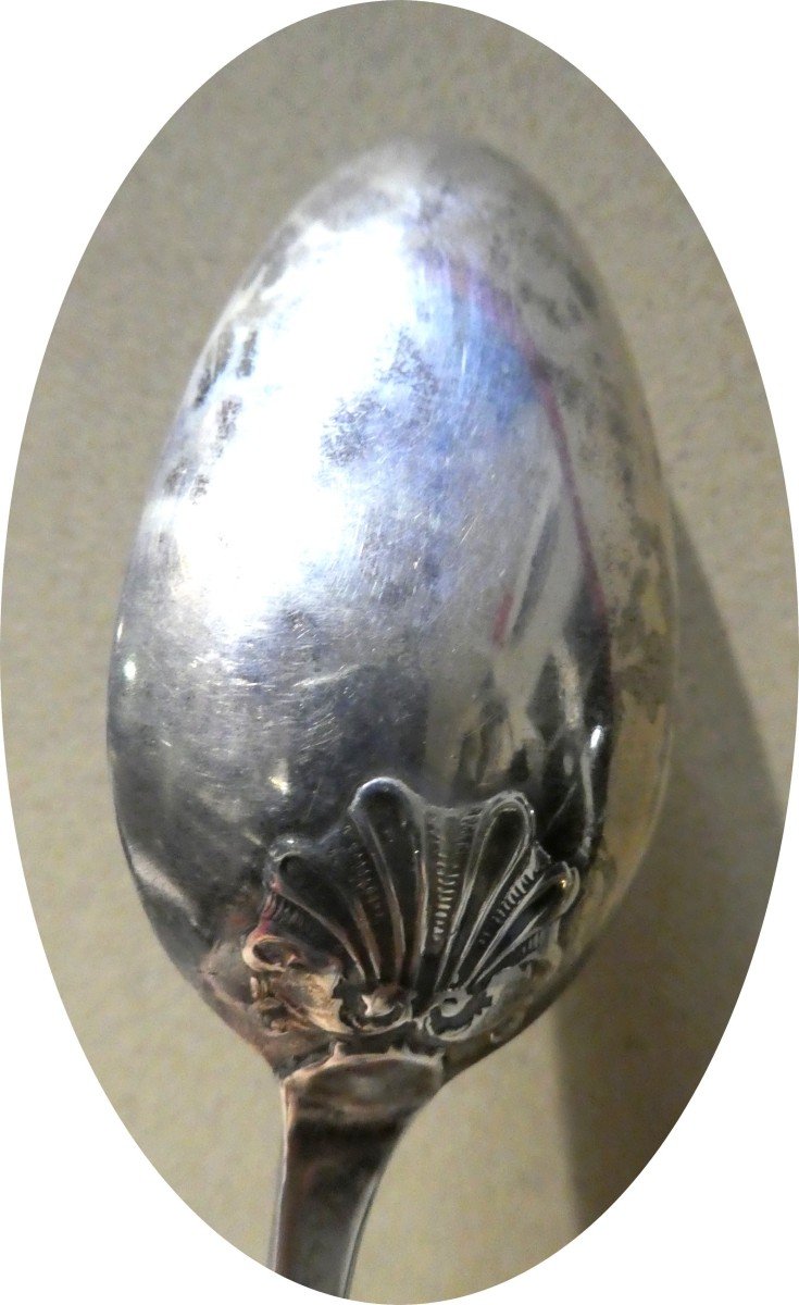 Georgian Marrow Spoon, Chiseled Shell, London, 1766, Chawner Frères-photo-2