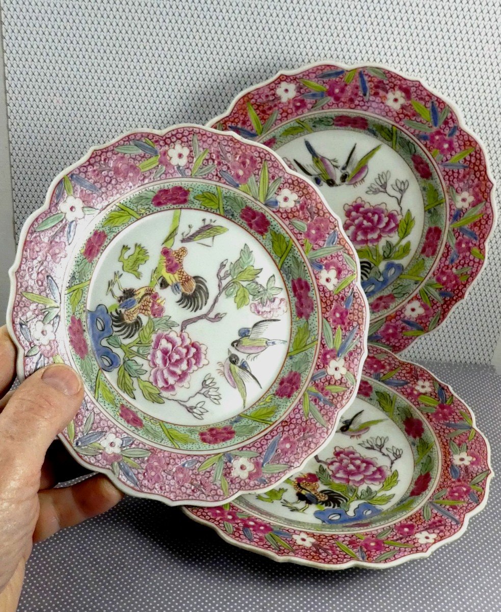 3 Petites Assiettes Aux Oiseaux, émaux Famille Rose, Par E. Samson, Paris, 19e Siècle-photo-2