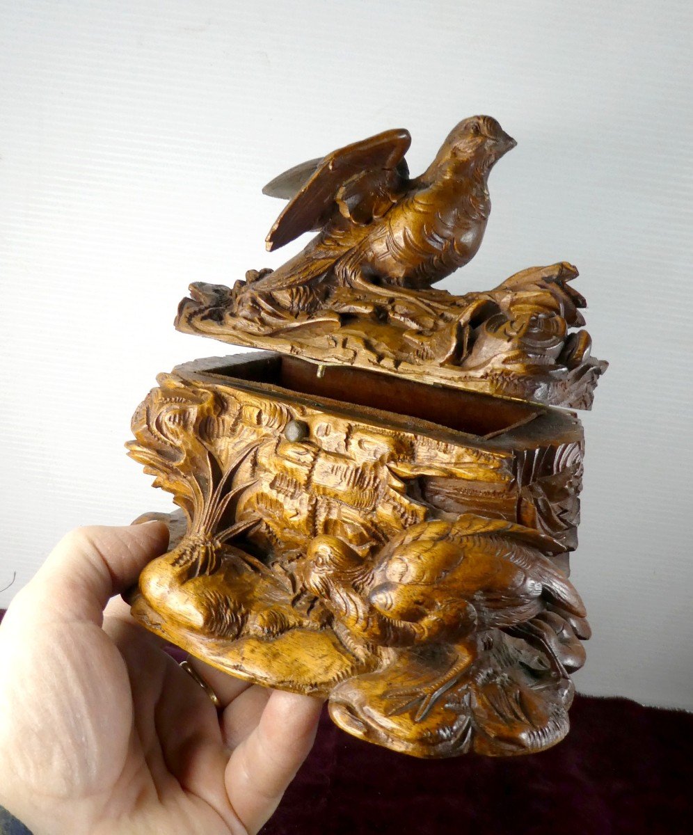 Le Coffret Des Oiseaux, Bois Sculpté Suisse, Fin 19e-photo-1