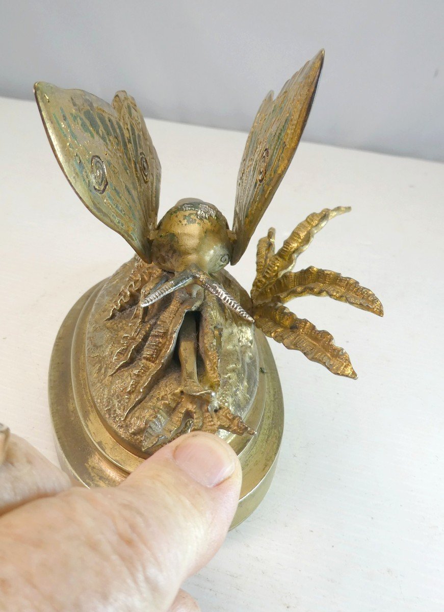 Bronze Automatic Butterfly, Circa 1830, Romantic Era Mail Clip-photo-3