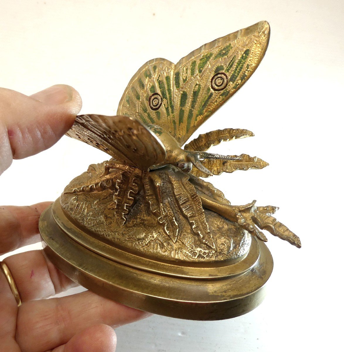 Bronze Automatic Butterfly, Circa 1830, Romantic Era Mail Clip-photo-3