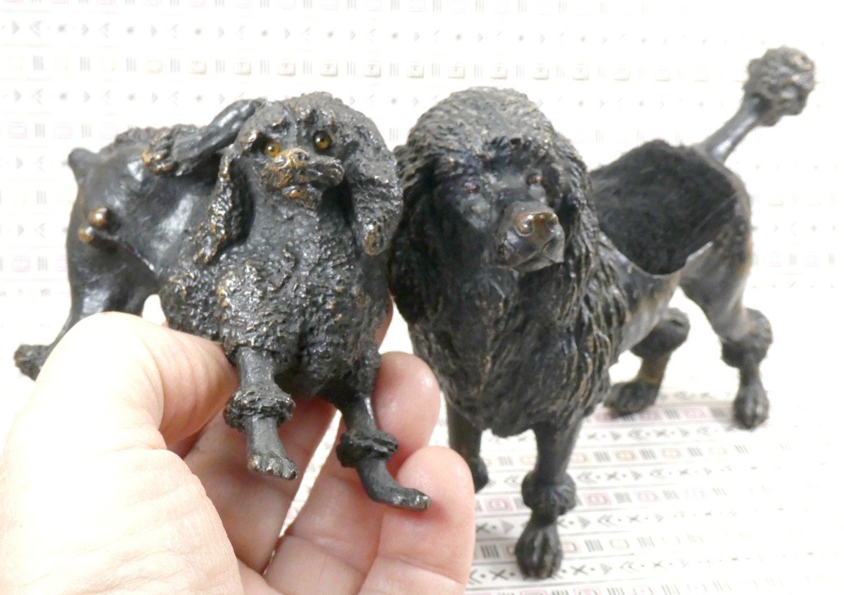 Painted Vienna Bronzes, Two Black Poodles, Marked (geschutzt), 19th Century-photo-1