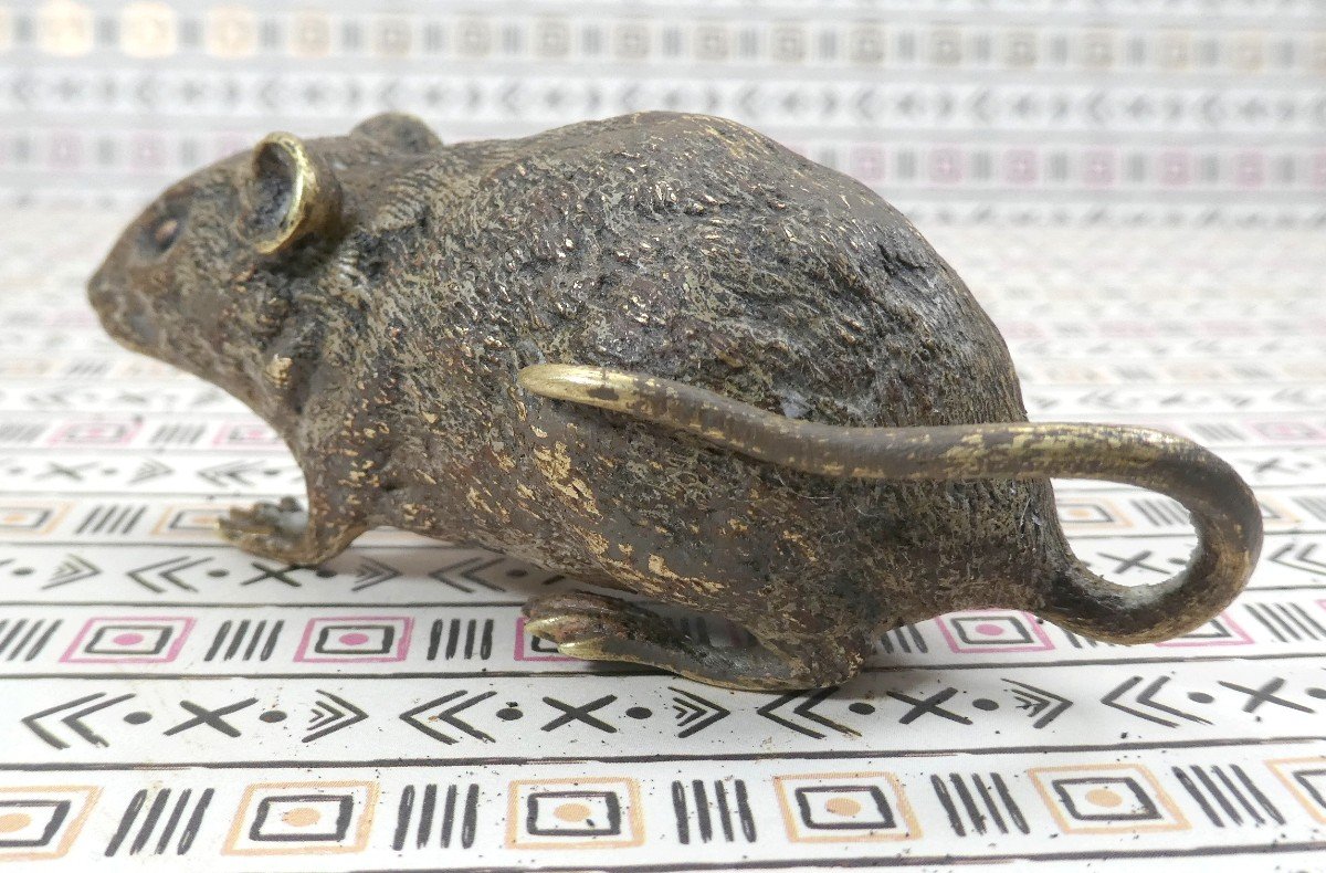 Petite Souris Bronze De Vienne, Marqué (geschutzt), 19e Siècle-photo-2