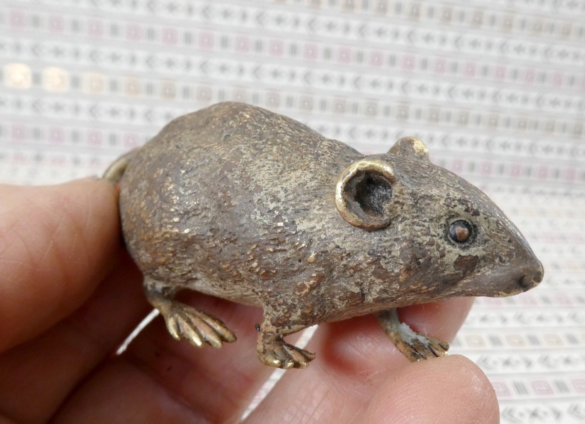 Little Vienna Bronze Mouse, Marked (geschutzt), 19th Century-photo-1