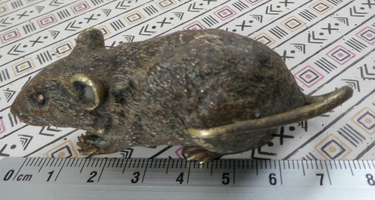 Petite Souris Bronze De Vienne, Marqué (geschutzt), 19e Siècle-photo-2