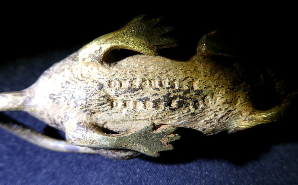 Petite Souris Bronze De Vienne, Marqué (geschutzt), 19e Siècle-photo-4