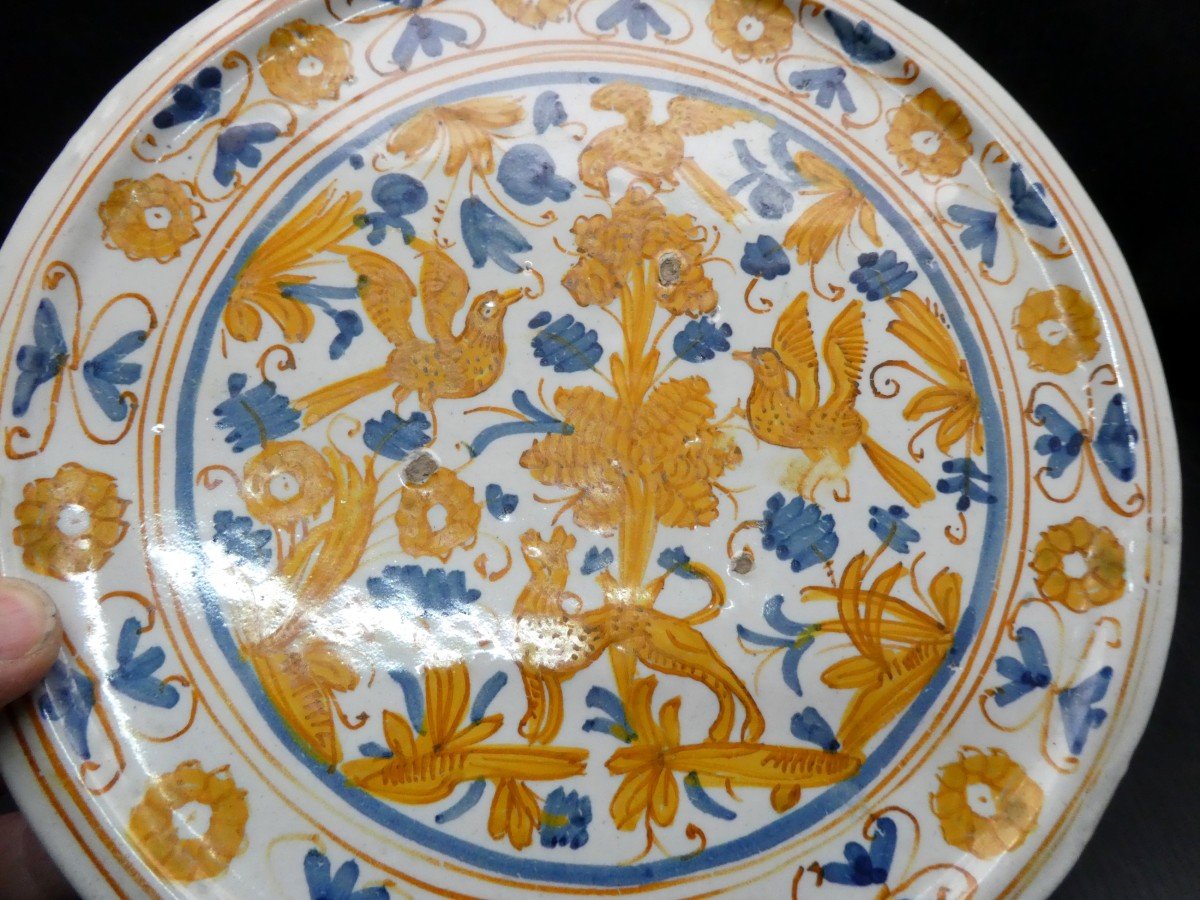 Deruta, 17th Century Majolica, Pretty Animal Tazza, 25.5cm, -photo-4