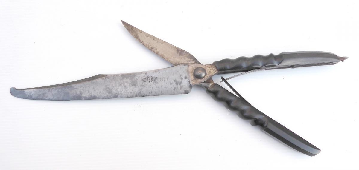 Surgery: Dissection Shears, Legale Medicine, France, 19th, Signed