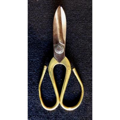 Tailor Scissors, Japan XIXe, Iron And Brass, Signed